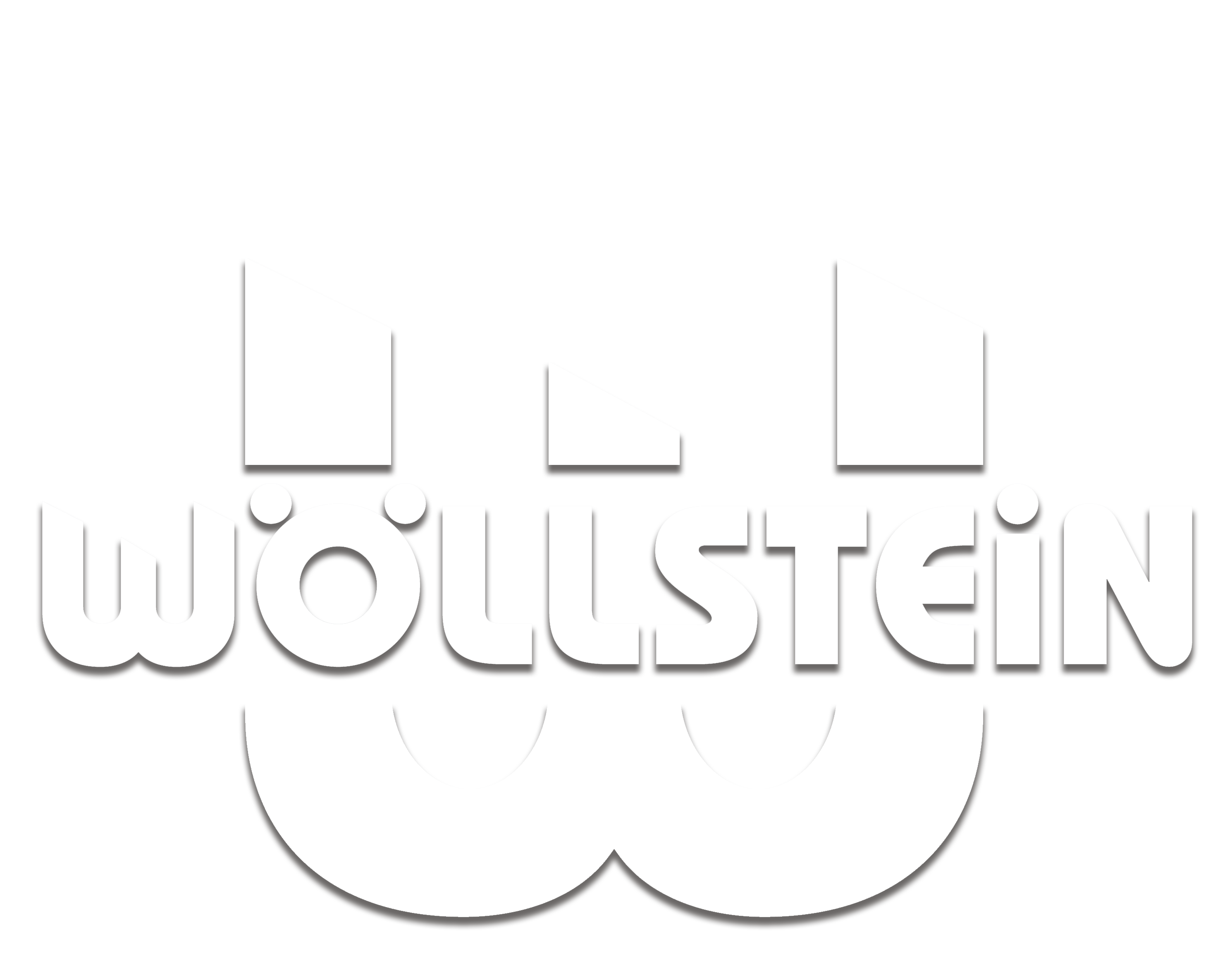 Wöllstein Stanzformen für Lebensmittelverpackungen